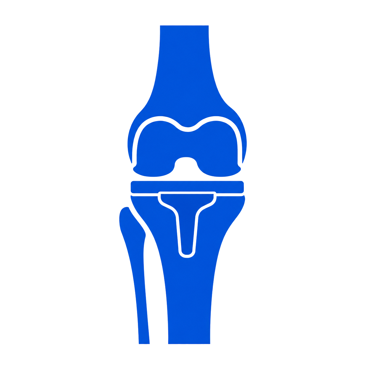 Knee Replacement icon